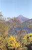 Schiehallion Mountain in Spring